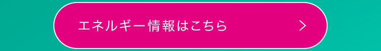 エネルギー情報はこちら