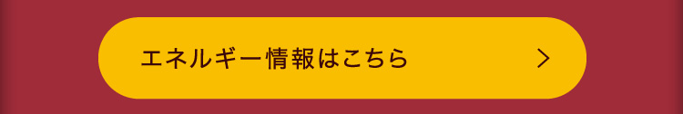 - ゴディバ監修 - ショコラ＆ヘーゼルナッツ アイスクリームケーキ