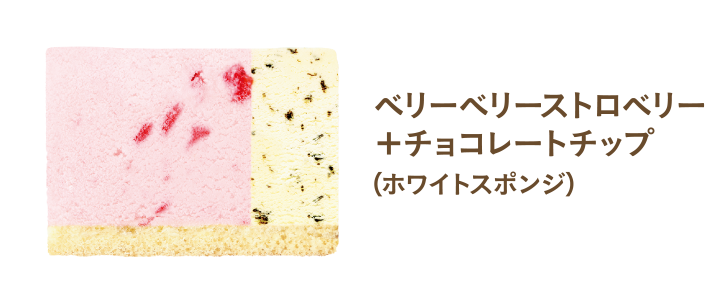 ベリーベリーストロベリー＋チョコレートチップ （ホワイトスポンジ）