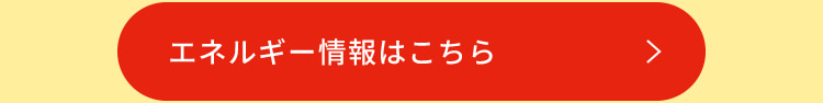 エネルギー情報はこちら