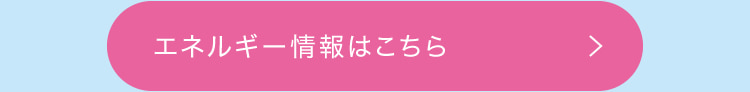 エネルギー情報はこちら
