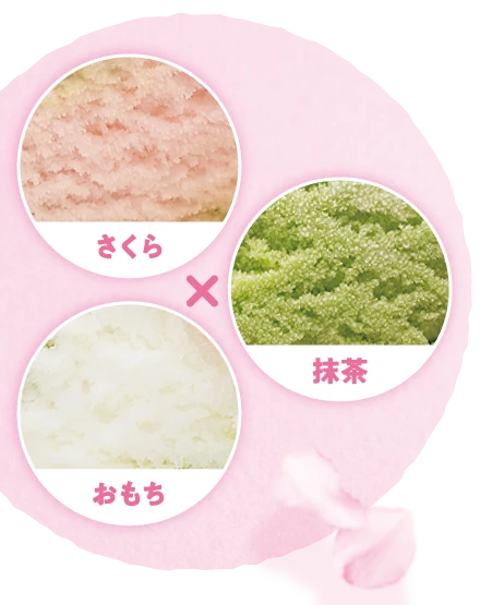 さくら 抹茶 おもち